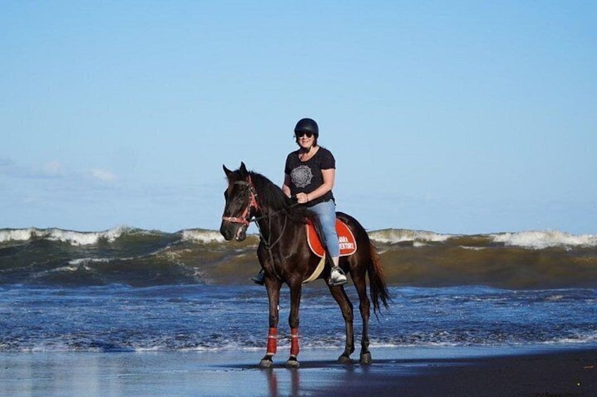 Saba Beach Horse Riding Experience 4
