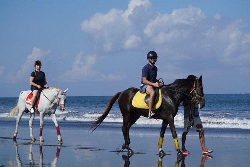 Saba Beach Horse Riding Experience 1