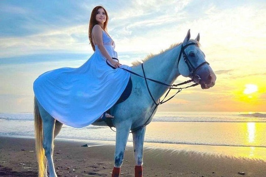 Saba Beach Horse Riding Experience 3
