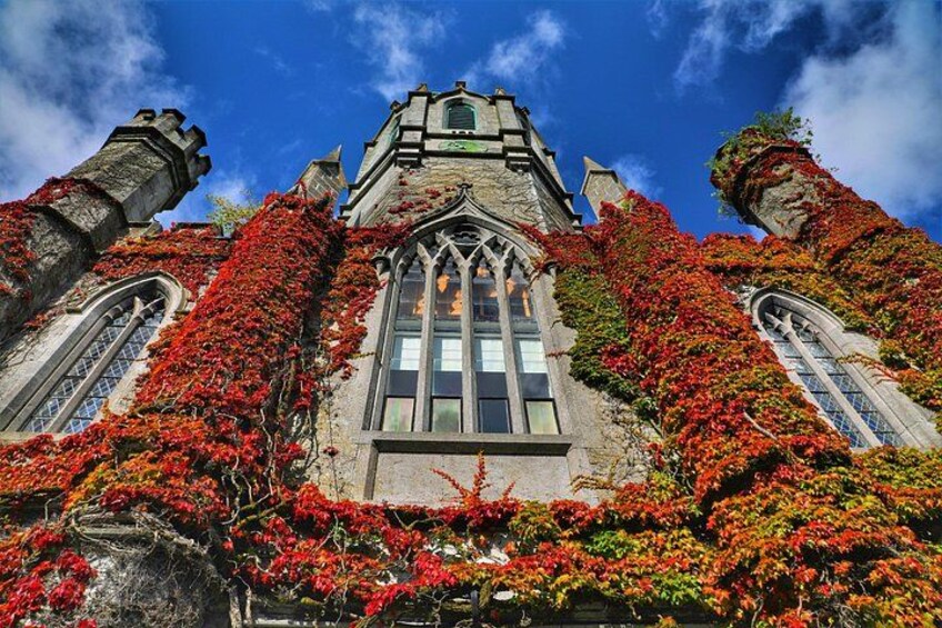Un bâtiment historique aux murs recouverts de lierre et doté d’une tour imposante. 4