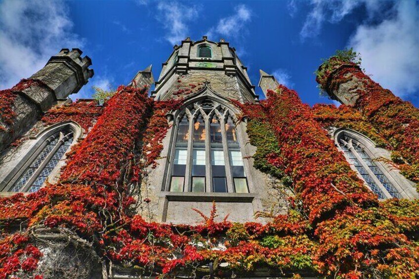 Quadrangle - University of Galway 4