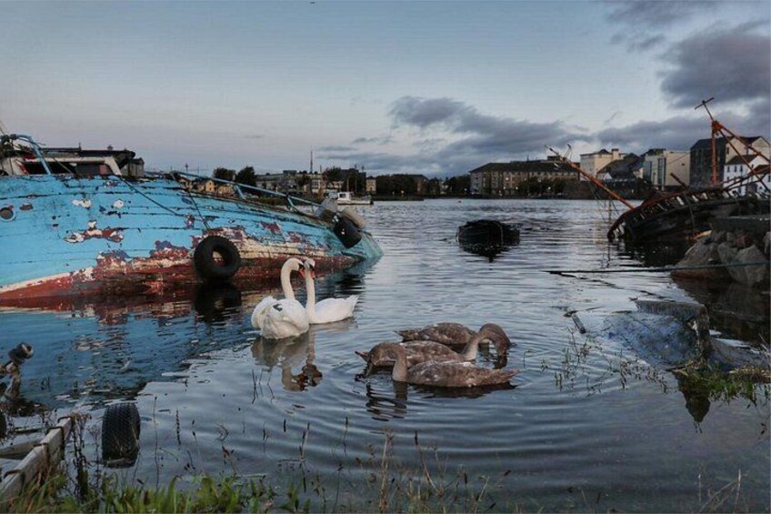 Galway Celtic Mythology Tour 2