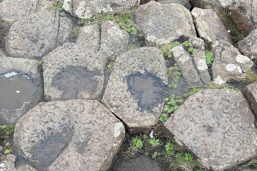 Hexagonal Stones at Giant's Causeway 3