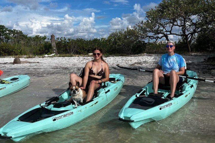 Deux personnes en kayak sur une plage, accompagnées d’un chien. 3