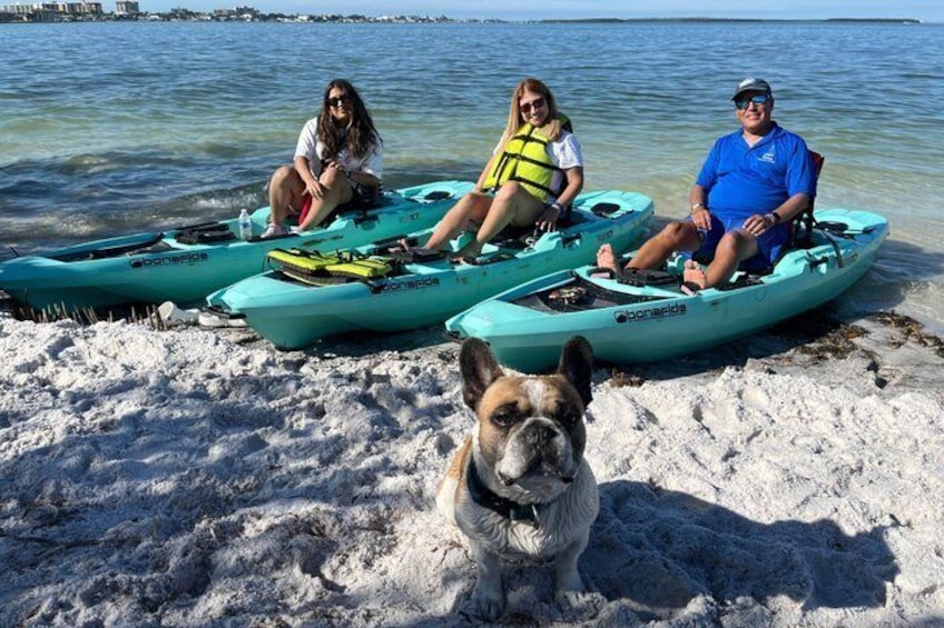 Trois personnes en kayak sur une plage de sable, avec un chien au premier plan. 5