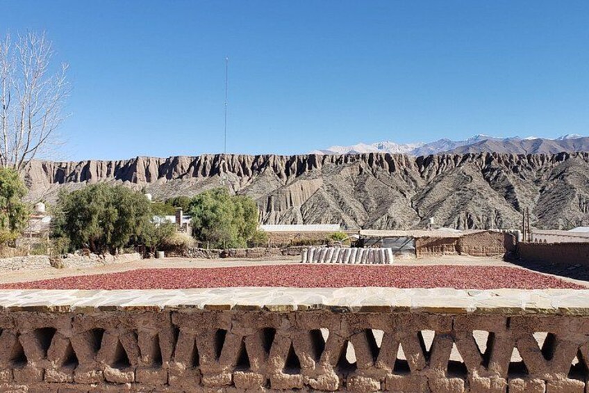 Cachi Full Day Tour with Los Cardones National Park 3
