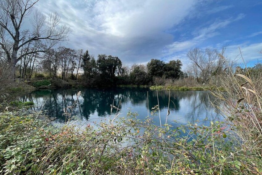 A calm lake surrounded by trees and vegetation. 1