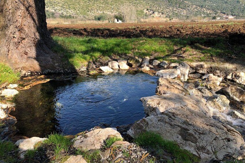 A small stream with rocks and a tree. 3