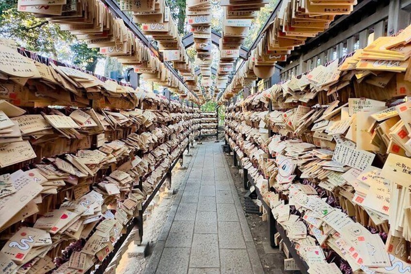 Exclusive Tokyo City and Kawagoe City Private Day Tour 3