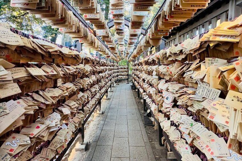 Exclusive Tokyo City and Kawagoe City Private Day Tour 4
