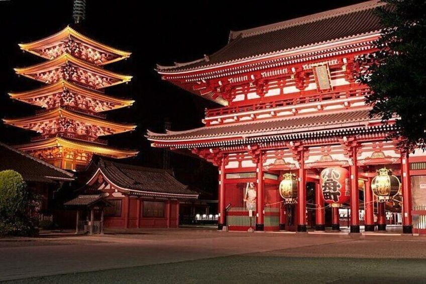 Exclusive Tokyo City and Kawagoe City Private Day Tour 5
