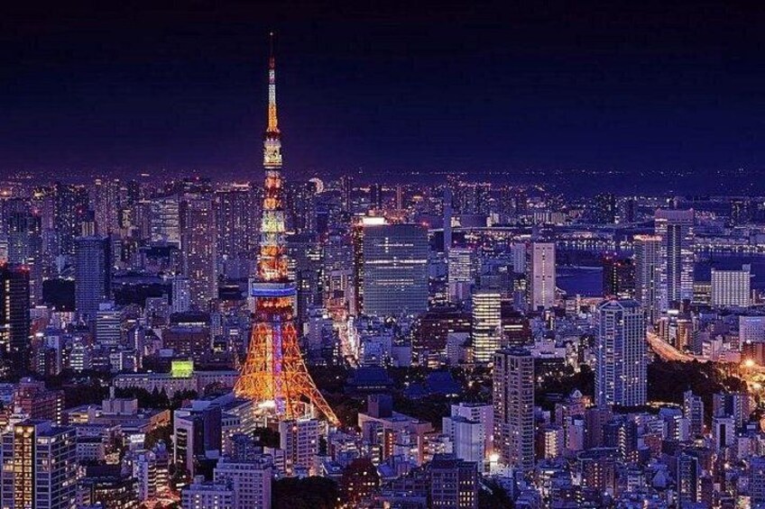 Exclusive Tokyo City and Kawagoe City Private Day Tour 1