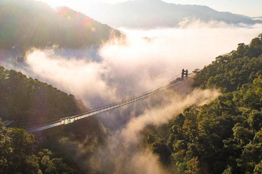 A suspension bridge over a valley with dense forest and mist. 1