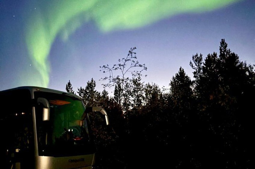 A bus parked in a forest with the aurora borealis in the background. 3