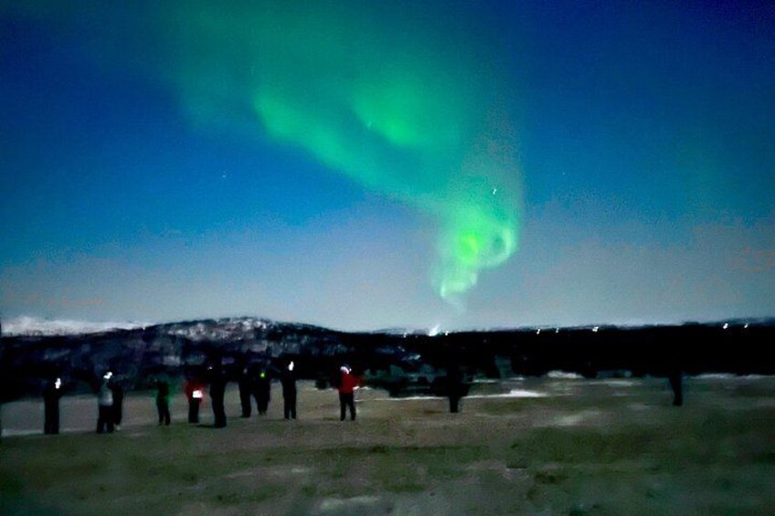 A group of people observing the Northern Lights in a natural setting. 4