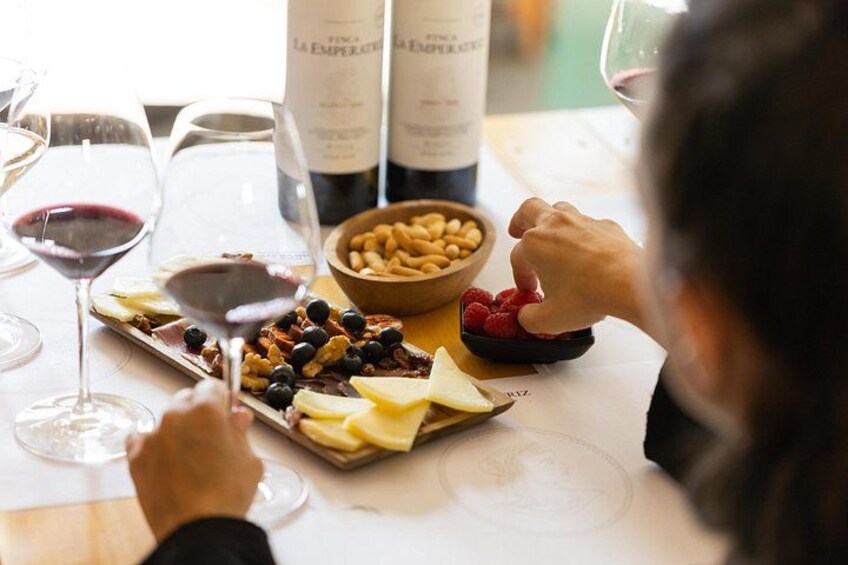 tasting with appetizers 5