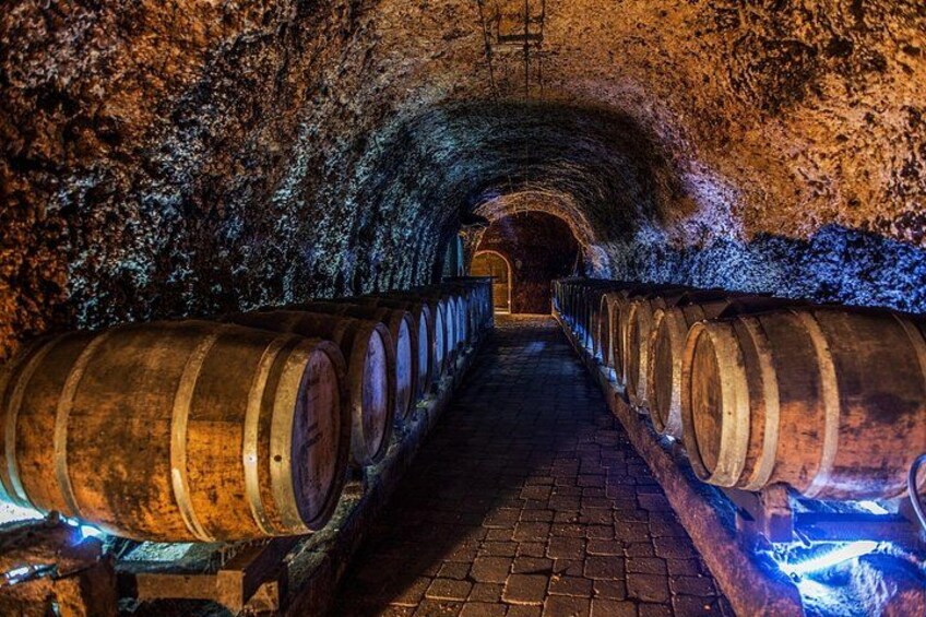 Historical wine cave 2