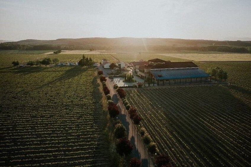 charm winery 2