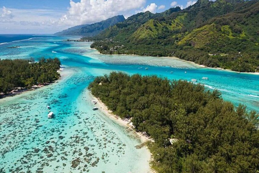 Activity/Excursion Lagoon Tour to Moorea by Canoe 6 hours 3