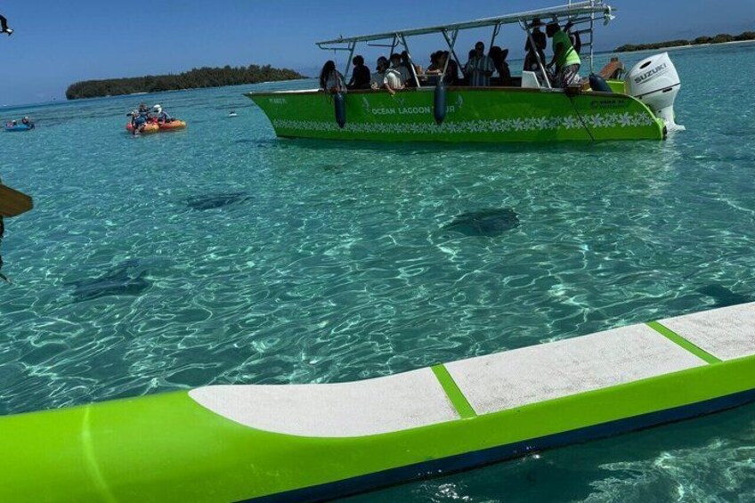 Activity/Excursion Lagoon Tour to Moorea by Canoe 6 hours 4