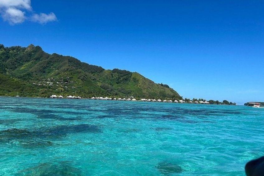 Activity/Excursion Lagoon Tour to Moorea by Canoe 6 hours 2