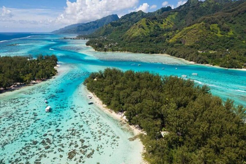 Activity/Excursion Lagoon Tour to Moorea by Canoe 6 hours 5