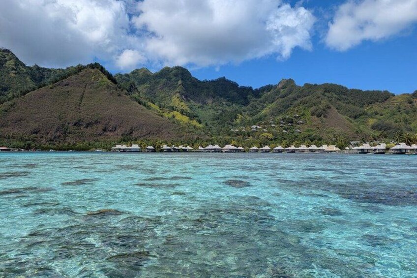 Activity/Excursion Lagoon Tour to Moorea by Canoe 6 hours 5