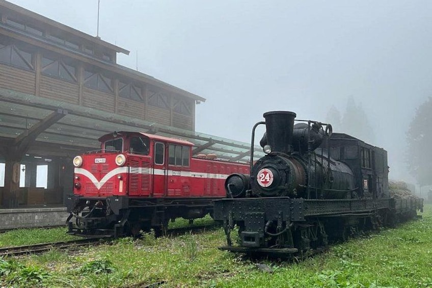 Alishan Join-in Day Tour from Chiayi (Incl. Park Entrance) 3