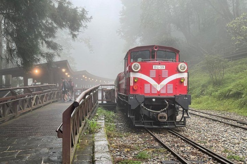 Alishan Join-in Day Tour from Chiayi (Incl. Park Entrance) 2