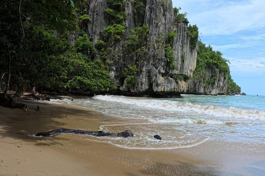 Ein Strand mit klarem Wasser, sandigem Ufer und einer felsigen Klippe mit grüner Vegetation. 4