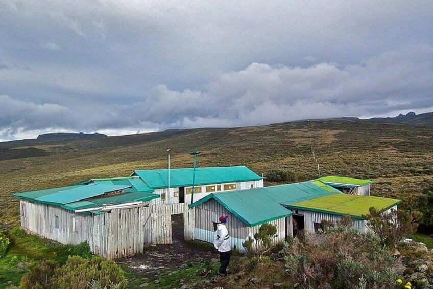 A wooden structure with green roofs in a grassy landscape. 2