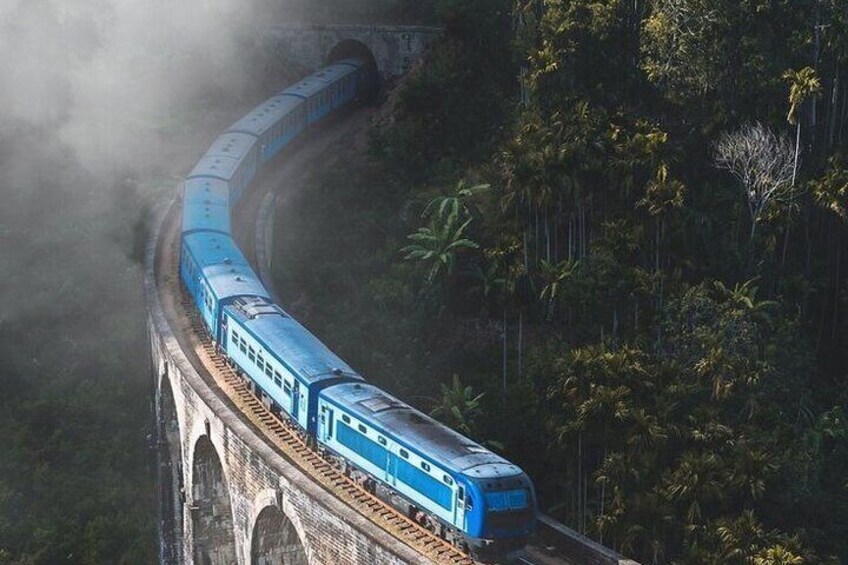 A blue train on a bridge curving through a forested area. 5