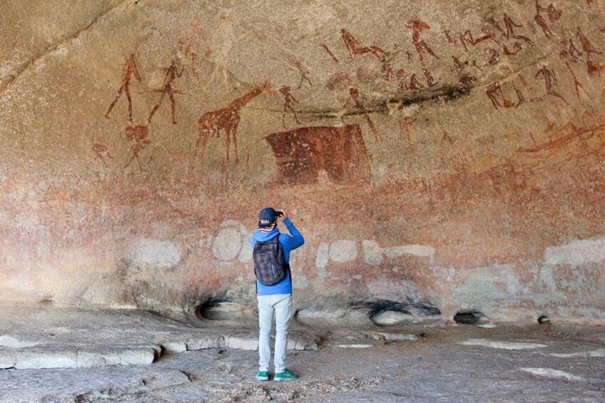 A person taking a photograph of ancient cave paintings. 1