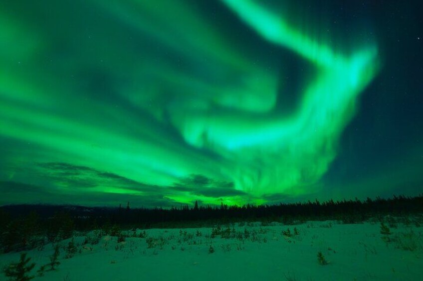 The Northern Lights over a snowy landscape. 2
