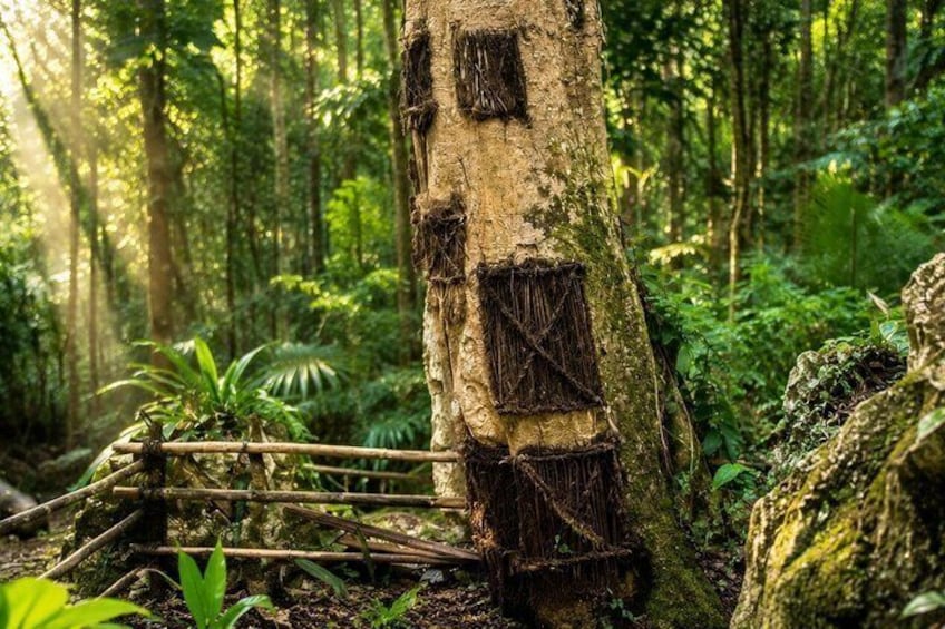 Explore Toraja Culture Heritage in 3 Days from Makassar 4