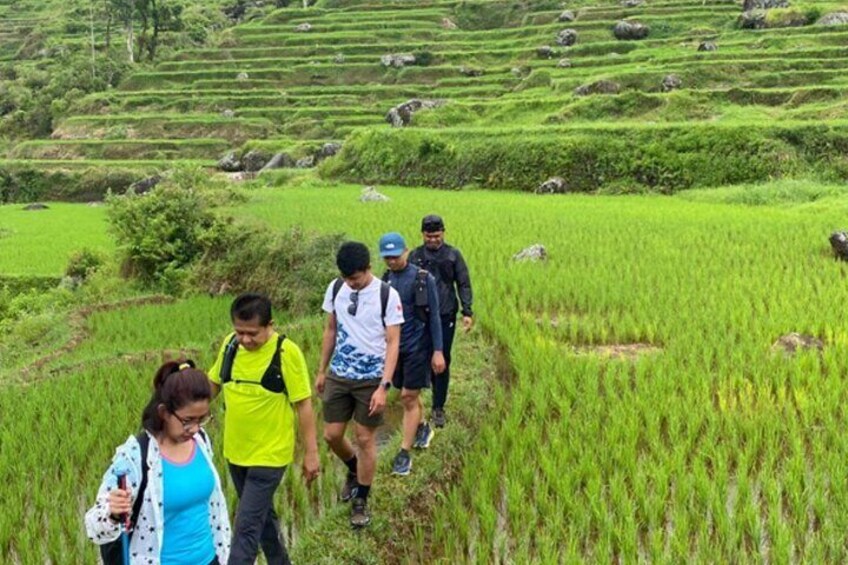 Toraja Multiday Tour from Makassar 3
