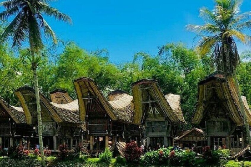 Toraja Multiday Tour from Makassar 1