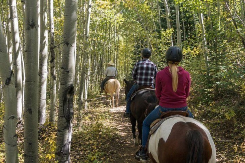 Park City: Scenic Wasatch Mountain Horseback Ride 3