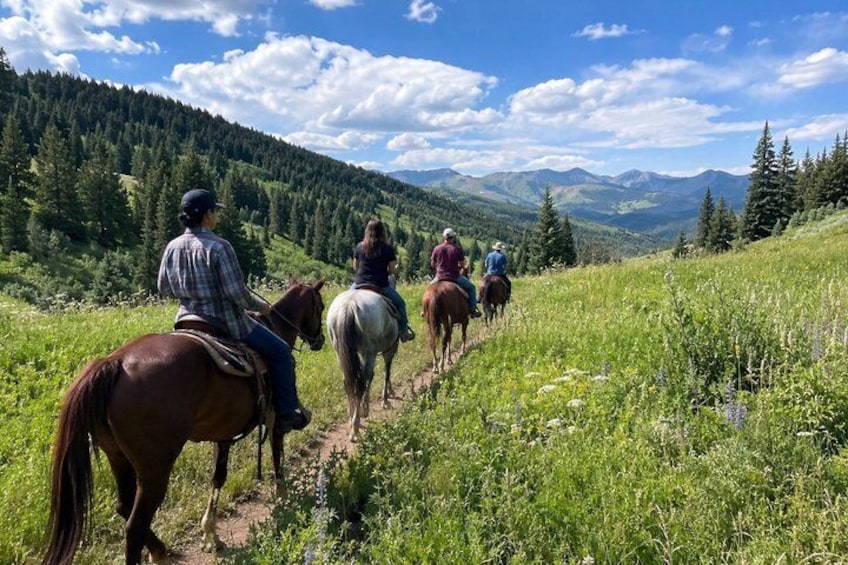 Park City: Scenic Wasatch Mountain Horseback Ride 2