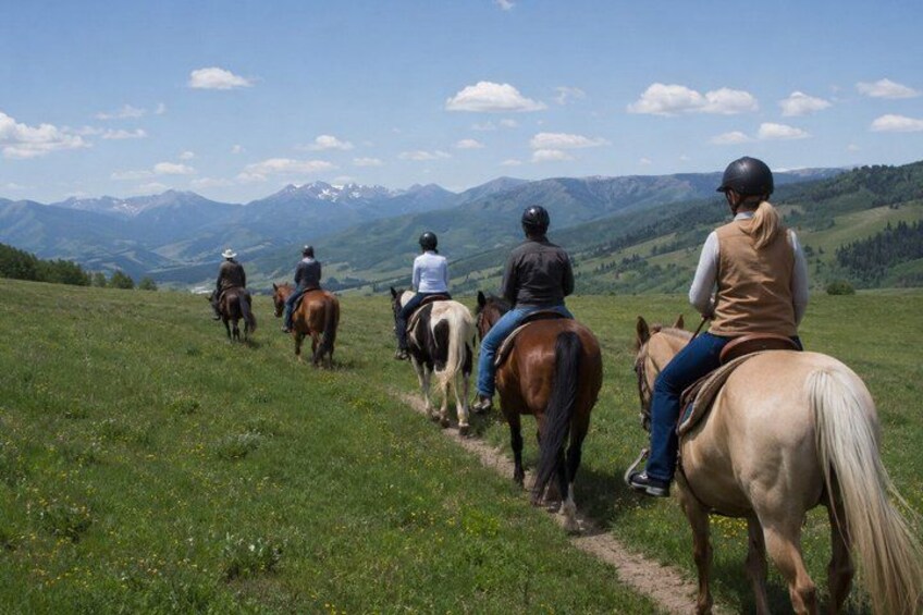 Park City: Scenic Wasatch Mountain Horseback Ride 5