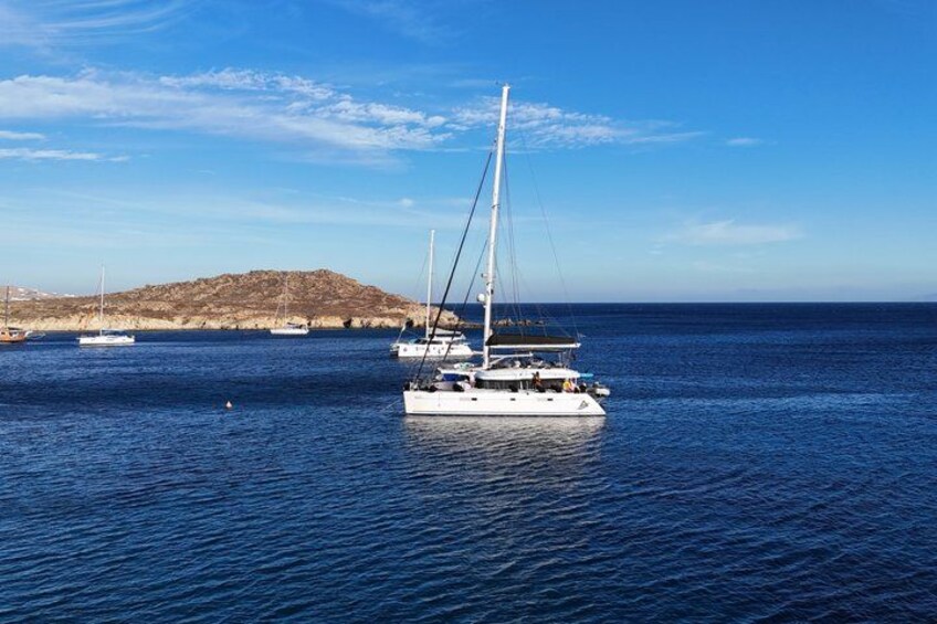 Mykonos Delos Rhenia Daily Cruise with BBQ, Drinks & Transfer 2