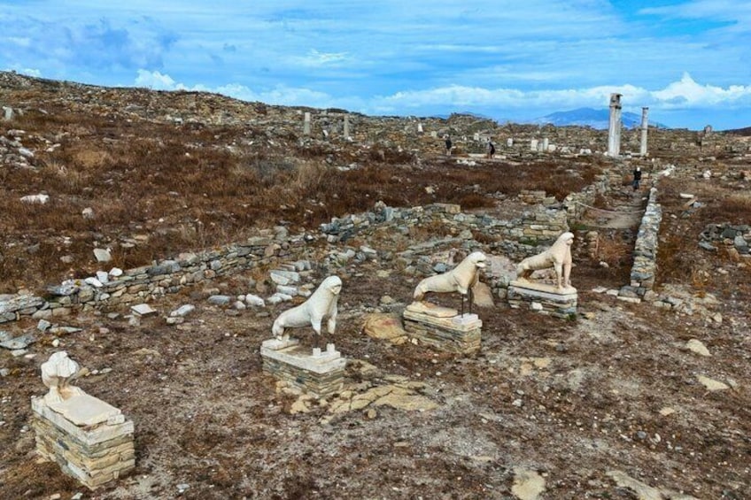 Mykonos Delos Rhenia Daily Cruise with BBQ, Drinks & Transfer 4