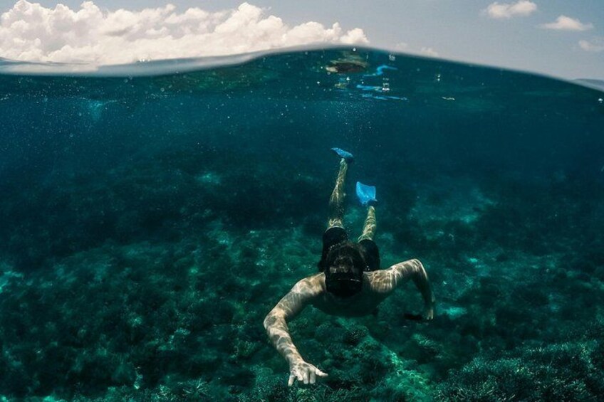 A person snorkeling underwater with fins. 4