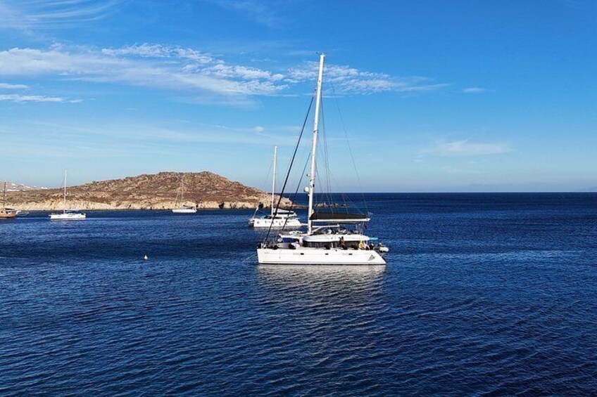 Mykonos Delos Rhenia Daily Cruise with BBQ, Drinks & Transfer 2