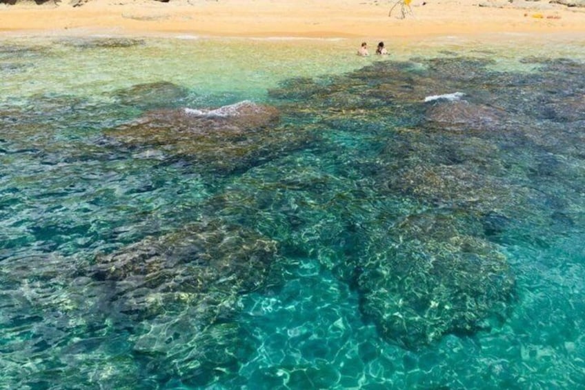 Une plage avec une eau turquoise et limpide, et des rochers visibles sous la surface. 5