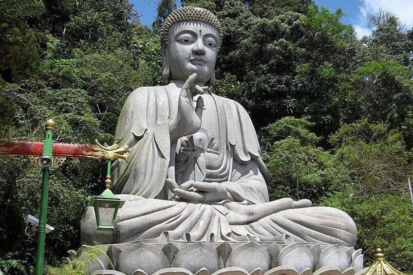A large seated Buddha statue surrounded by lotus flowers, with a green railing and a lantern in the foreground. 4