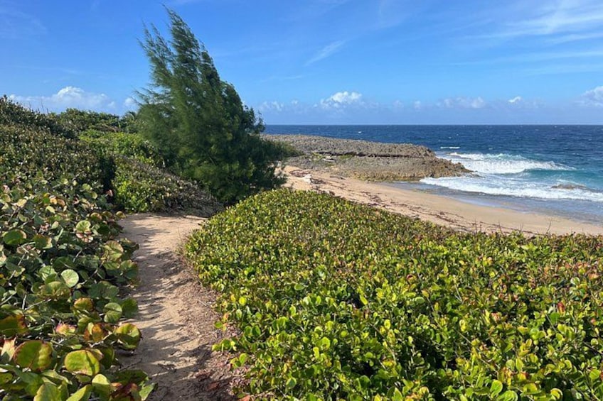 Hiking on the beach 4