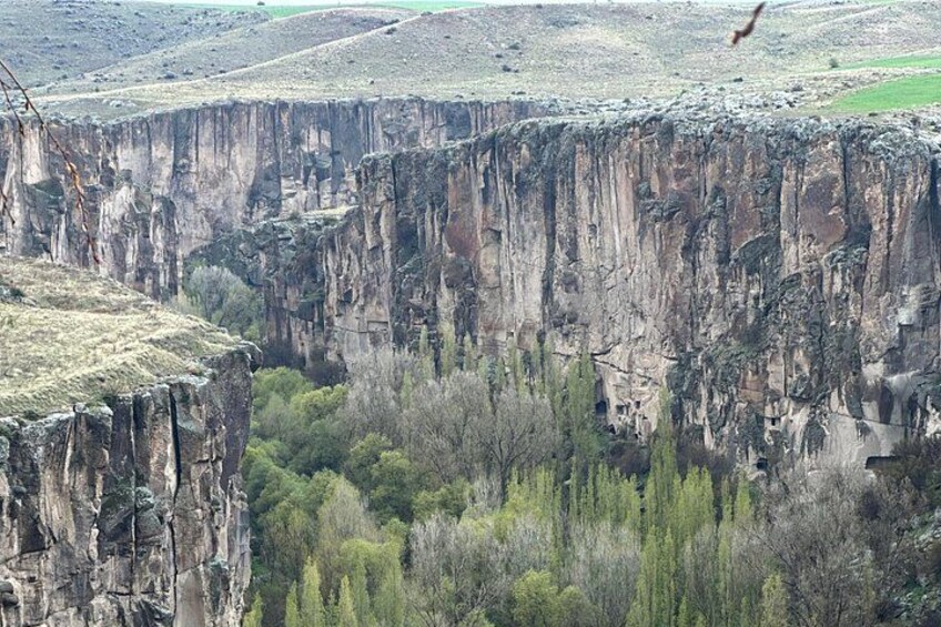 A canyon with steep cliffs and a forested valley. 2