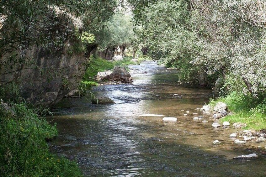 A river flowing through a forested area with rocks and greenery. 4