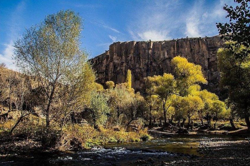 A river, trees, and a rocky cliff. 1